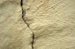 fix_cracks_in_a_wall_from_a_house_settling